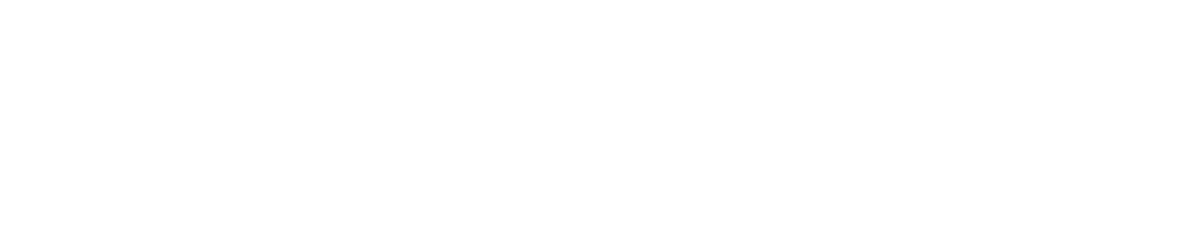 FiscalGuard